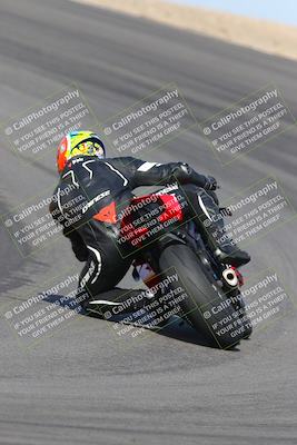 media/Feb-04-2023-SoCal Trackdays (Sat) [[8a776bf2c3]]/Turn 10 Backside (1010am)/